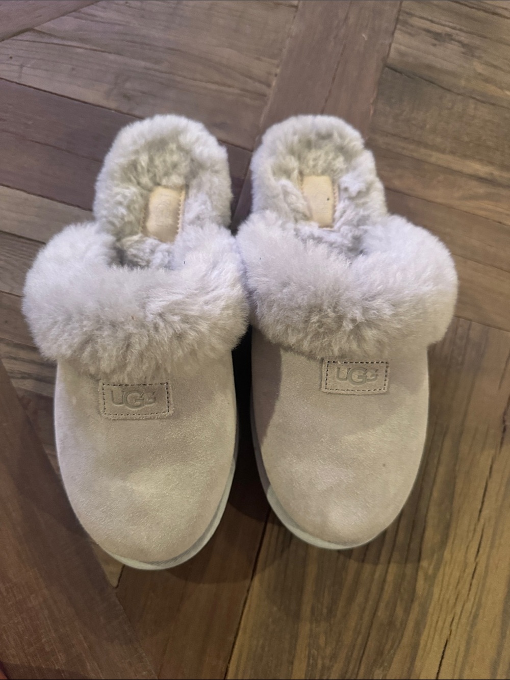 UGG Coquette Suede Signature Logo Detail Cold Weather Slippers